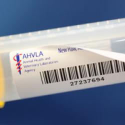 Removable Labels Call 9810822688